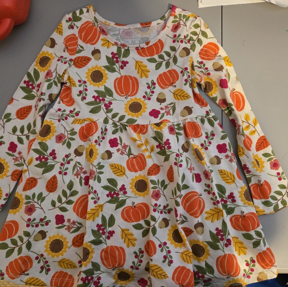 NWOT The Children's Place 2T Fall dress